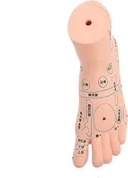 Baluue 1pc Left Foot Model Detailed Foot Massage Acupoint Teaching Tool for Physiotherapy Nursing Education Realistic Design for Students Professionals