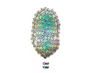 Sram XX1 Eagle Rbw Solid Pin 118 Link 12Speed Chain Solid Pin