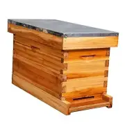 5-Frame Nuc Beehive for Bees Complete Bee Hive Box Kit with Metal Roof