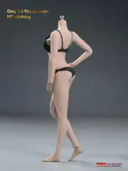 12" Female Figure Body TBLeague PH 1:6 S23B Medium Breast Suntan Flexible