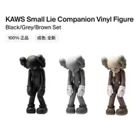 在飛比找蝦皮購物優惠-11. KAWS Small Lie Companion V