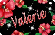 Red Hibiscus Flowers Bicycle License Plate Personalize Girls Ladies Mom