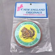 Lake Pemaquid Camping Chipmunk Damariscotta ME Maine 3" New Vintage Patch