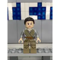 在飛比找蝦皮購物優惠-【TCT】樂高 LEGO 星戰系列 Star Wars 75