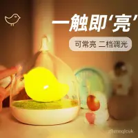 在飛比找蝦皮購物優惠-小夜燈/觸摸拍拍創意充電聲控感應led鳥籠小夜燈嬰兒臥室餵奶