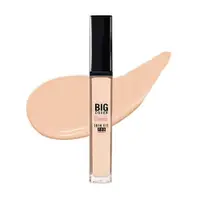 在飛比找蝦皮購物優惠-Etude House Big Cover Skin Fit