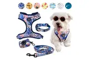 4-PIECE WALKIES BUNDLE [Pipco Pets] - Adjustable Dog Harness + Collar + Lead + Poo Bag Dispenser (Tropic Fronds)