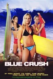 5 SURFING MOVIE POSTER 's ALL Rare Original One Sheets & Australian Daybills