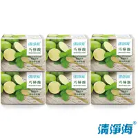 在飛比找momo購物網優惠-【清淨海】巧檸酸-符合食品添加物規格標準檸檬酸 350g(箱