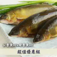 在飛比找台灣好農優惠-(共4包)宜蘭游大哥綜合香魚組(公500g-2~4尾入x2、