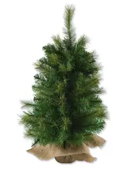 Balsam Pine Table Top Christmas Tree with 104 Tips - 65cm