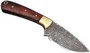Handmade Damascus Skinner Knife Chef kitchen knife 7.5 Inches Damascus Steel Hunting Knife Rain Drop Pattern Camping Knife with Wooden Handle Stain Resistance