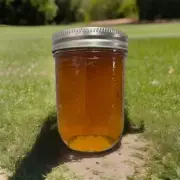 The Best Apricot Jam Sweet Tart Taste In Every Bite Creating A Perfect Balance