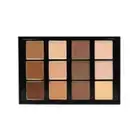 Crown Pro Conceal and Contour Collection ( Item CP10)
