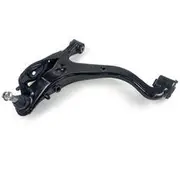 Mackay Control Arm - CA1043R