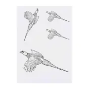4 x 'Flying Pheasant' Temporary Tattoos / Transfers (TO00050139)