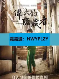 在飛比找露天拍賣優惠-nwyplzy精選DVD 電影 偉大的隱藏者隱秘而偉大的3個