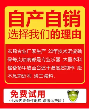 嗩吶樂器全套初學者專業成人民間演奏老式黑檀木D調專業鎖吶