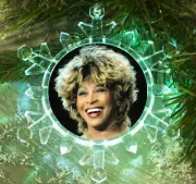 Tina Turner Snowflake Multi Color Blinking Light Holiday Christmas Tree Ornament