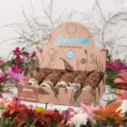 5 Pieces Smudge Box Stick Cinnamon Anise Prosperity