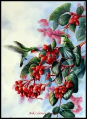 Charts Needlework DIY - Counted Cross Stitch Patterns - Springtime Hummingbirds