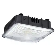 LED Canopy Light 50W, 6000lm, 100-277VAC, ETL Listed, 5000K Daylight White, I...