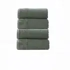 Aireys 650 GSM Zero Twist 4 Piece Agave Bath Towel by Renee Taylor