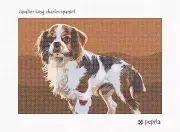 Cavalier King Charles Spaniel Needlepoint Kit or Canvas