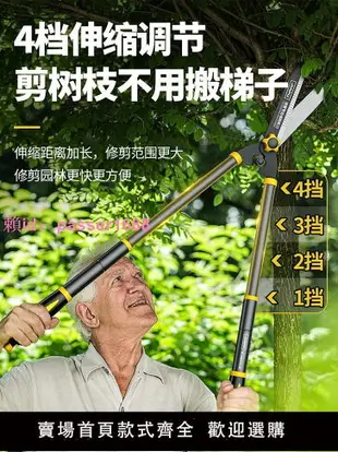 園藝剪刀剪樹枝專用修剪樹枝粗修花綠化綠籬園藝剪園林大修枝剪子