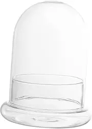 BESPORTBLE Clear Glass Dome Bottle for Micro Landscape Display Decorative Miniature Ornament Holder with Base for Home Decor Desk and