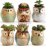 Set of 6 Owl Ceramic 2.5 Inch Succulent Planter Pots with Drainage Hole
