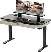 [EUREKA ERGONOMIC] Electric Standing Desk with 2 Drawers, 140 x 60cm Dual-Motor Height Adjustable Sit Stand Up Desk for Home Office with Built-in Outlet, USB Port, Wireless Charger, Monitor Stand