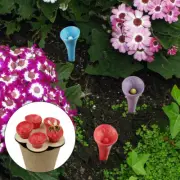 Bee Insect Drinking Cup,Thirsty Pollinators Safe Places Drink Durable Exquisite