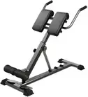 ALSTON Weight Bench Back Roman Chair Fitness Back Home Gym Workout Foldable 1...