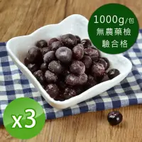 在飛比找momo購物網優惠-【幸美生技】原裝進口鮮凍栽種藍莓1kg x3包(自主送驗A肝