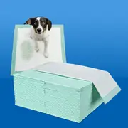 Taily Pet Training Pads 400pcs, 60x60CM Disposable Dog Pee Pads for Puppies, Dogs, Cats, Meadow