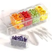 Ice Chilled Condiment Caddy with 5 Containers, Ice Chilled 5 Compartment