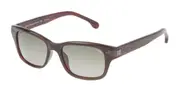 Lozza SL4074M 09Y7 Men's Sunglasses Tortoiseshell Size 52