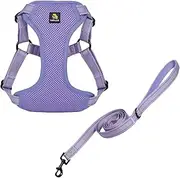 BELLA & PAL Puppy Harness with Leash Set, Adjustable Dog Harness for Small Dogs, No Pull Reflective Step-in Harness for Extra-Small/Small Medium Dogs