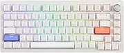 DrunkDeer A75 Rapid Trigger Keyboard Mechanical Magnetic Switch Keyboard TKL RGB Wired USB Compact Gaming Keyboard 82 Keys ABS Keycap Compact with Knob