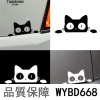 在飛比找Yahoo!奇摩拍賣優惠-[新店福利殺]★★  Surprise Cat Peekin