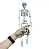 在飛比找蝦皮商城優惠-1pc 主動人體模型骨骼解剖骨架模型醫學學習萬聖節派對裝飾骨