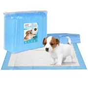 400PCS Pet Training Pads 60x60cm Puppy Dog Cat Toilet Indoor Super Absorbent