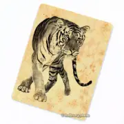 Tiger #2 FRIDGE MAGNET, Decorative Refrigerator Big Cat Wild Animal Decor