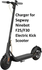 oem Official Ninebot Segway F25/F30 power supply battery Charger