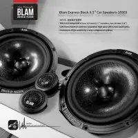 在飛比找蝦皮購物優惠-M5r【BLAM 165 ES】6.5吋二音路分音喇叭  E