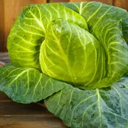Cabbage - Sugarloaf seeds
