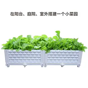 四種顏色 有機蔬菜種菜箱 屋頂花園方形塑料組合花箱 家庭蔬菜種植箱 戶外陽臺種菜箱鐘花箱
