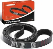 [A-premium] Engine Serpentine Drive Belt Compatible with Blue Bird, Freightliner & Sterling Truck Cars - All American FE RE, Vision School Bus, B2, M2 106, MT45, MT55, S2C, Acterra, L7500, L8500 & More