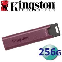 在飛比找樂天市場購物網優惠-Kingston 金士頓 256GB DTMAXA USB-